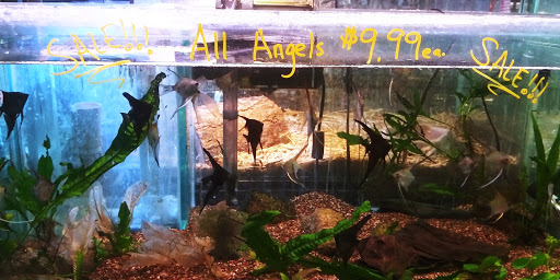 Pet Store «Pets World», reviews and photos, 147 Bridge St, Weymouth, MA 02191, USA