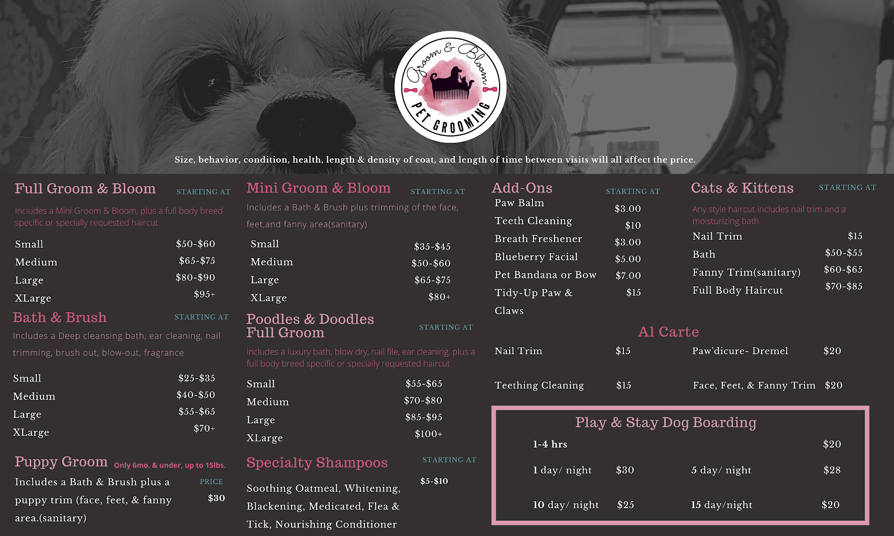 Groom & Bloom Pet Grooming