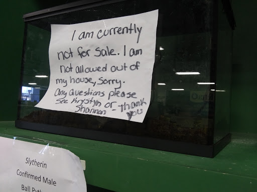 Pet Supply Store «Saluda River Pet», reviews and photos, 130 Robin Helton Dr, Boiling Springs, SC 29316, USA