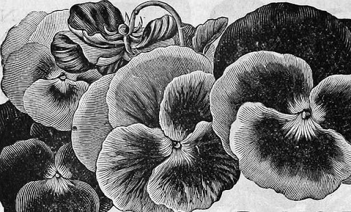 Florist «Garden Delights Fine Florist», reviews and photos, 2179 Hillsboro Rd, Franklin, TN 37069, USA