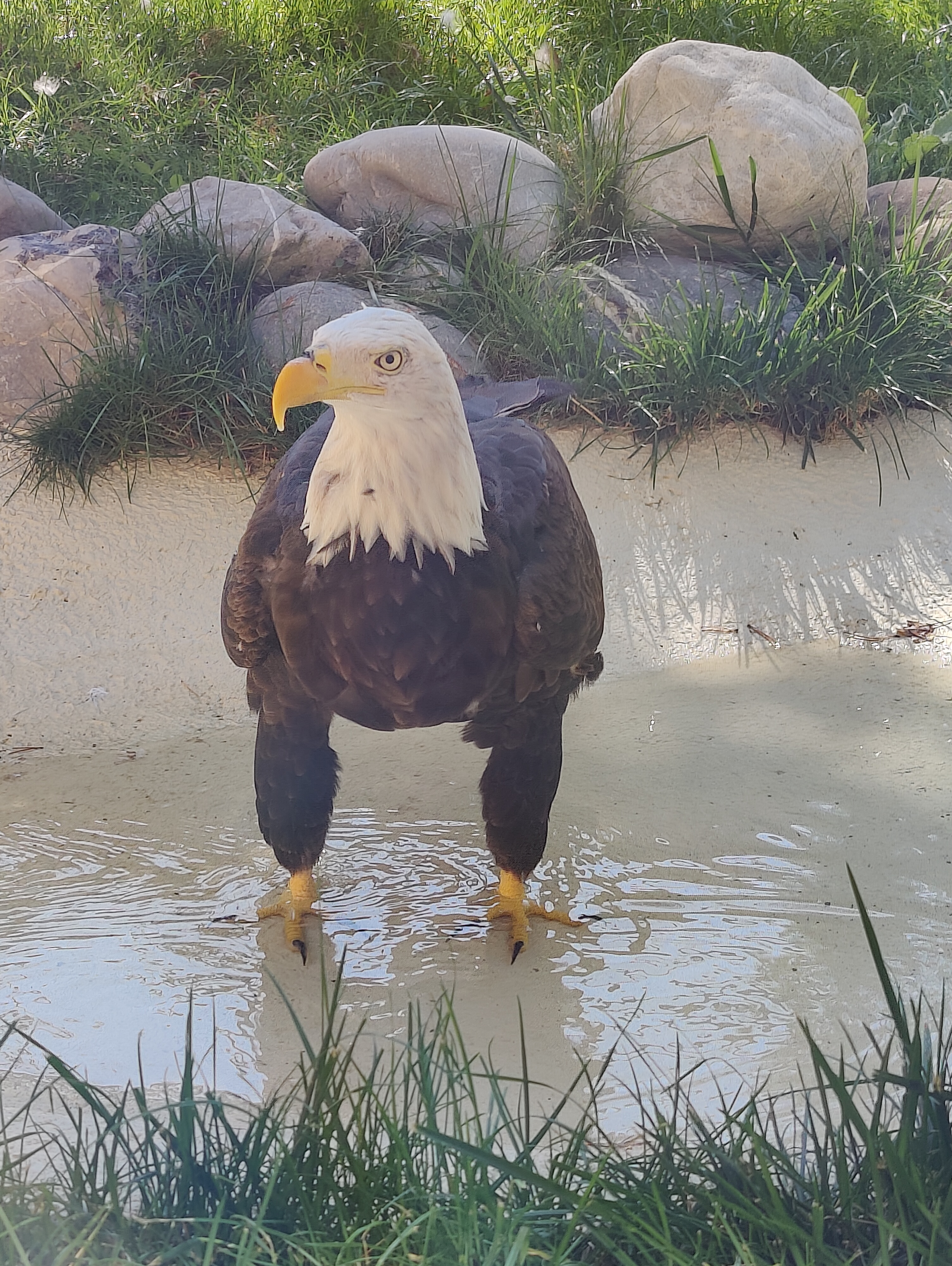 Photo n° 2 de l'avis de Julie.i fait le 15/09/2023 à 11:09
