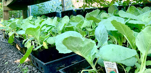 Animal Feed Store «Mid-County Farm & Feed Supply», reviews and photos, 128 S Twin City Hwy, Nederland, TX 77627, USA