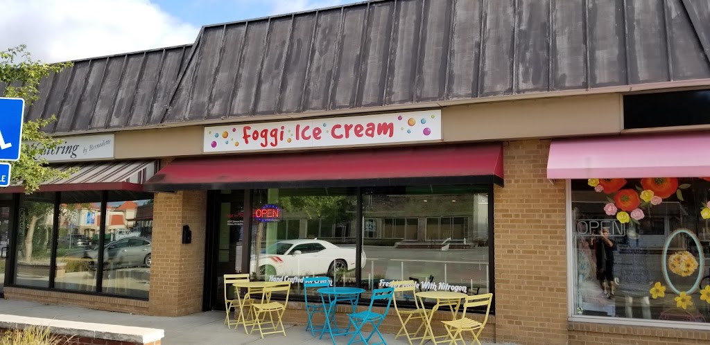 Foggi Ice Cream 66202