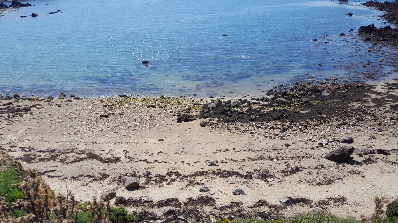 Foto av Porth Padrig med hög nivå av renlighet