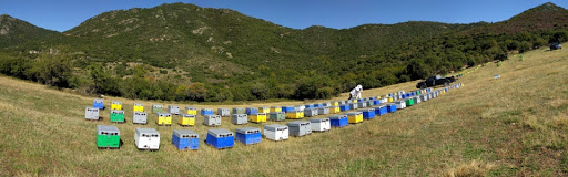 ANEL - Beekeeping Supplies - Μελισσοκομικά Εφόδια