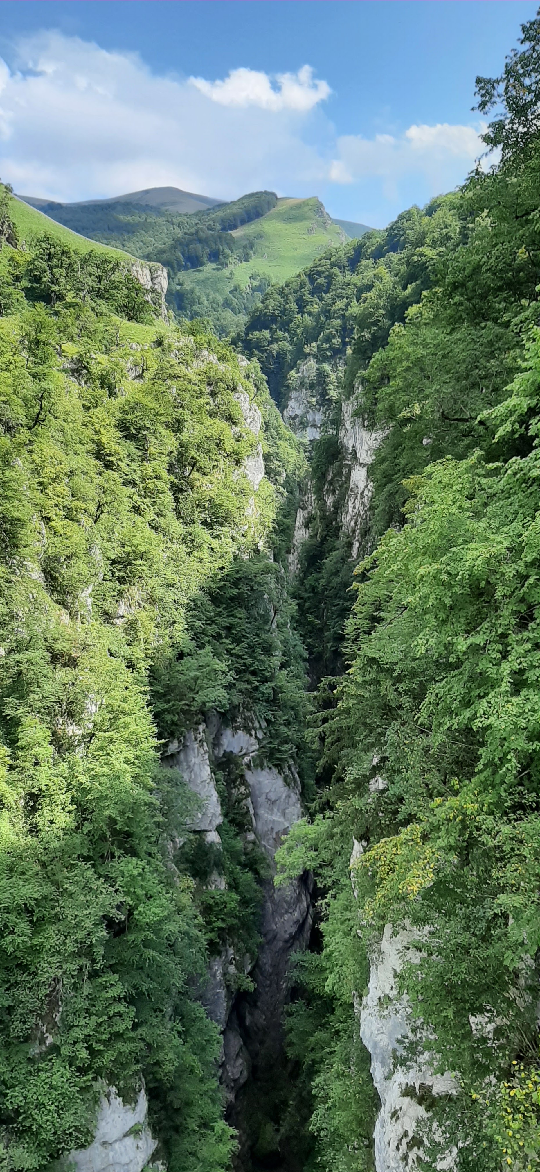 Photo n° 12 de l'avis de Marie.H fait le 09/08/2021 à 21:01