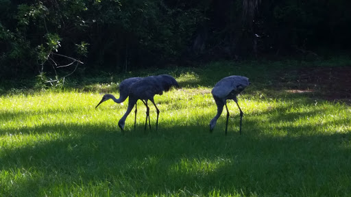 Golf Course «Turtle Creek Club», reviews and photos, 2 SE Club Cir, Tequesta, FL 33469, USA