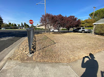 Green Gardens Landscaping - Photo 6 - Car repair in , Sacramento