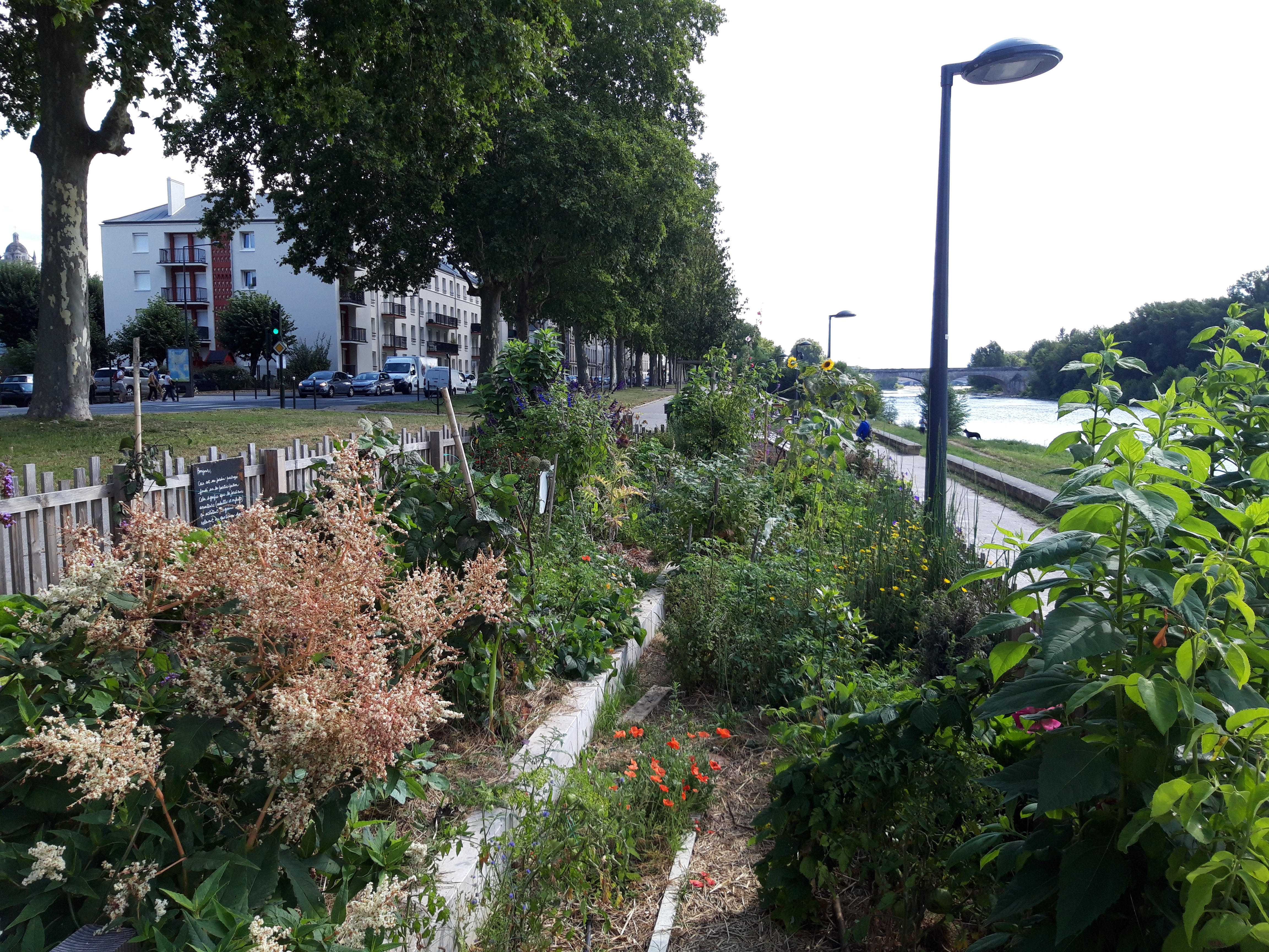 Photo n° 17 de l'avis de René.O fait le 21/08/2021 à 10:40