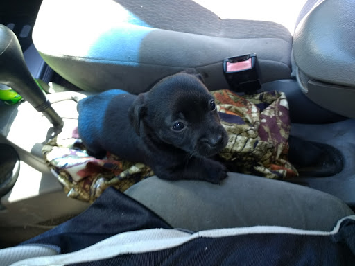 Truck Wash «Carefree Truck Wash», reviews and photos, 5900 S Opportunity Ave, Leavenworth, IN 47137, USA