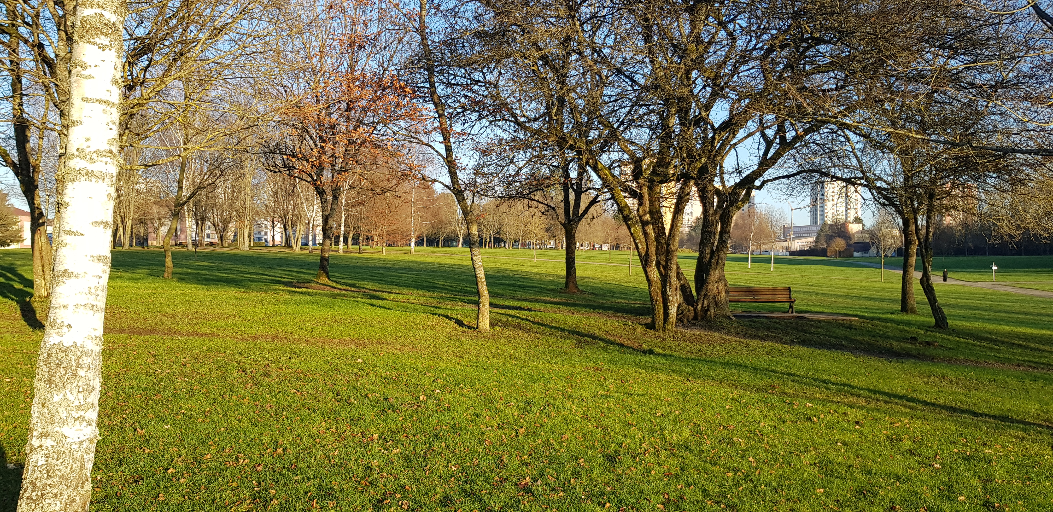 Photo n° 4 de l'avis de R.a fait le 30/12/2019 à 14:49