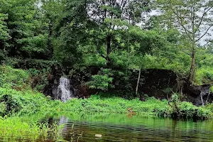 Cheppara Waterfalls image
