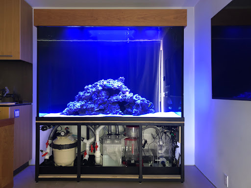 Tropical Fish Store «LE Corals Saltwater Aquarium Showroom», reviews and photos, 3414 S 48th St #2, Phoenix, AZ 85040, USA