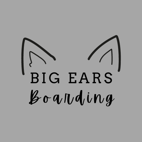 Big Ears Boarding