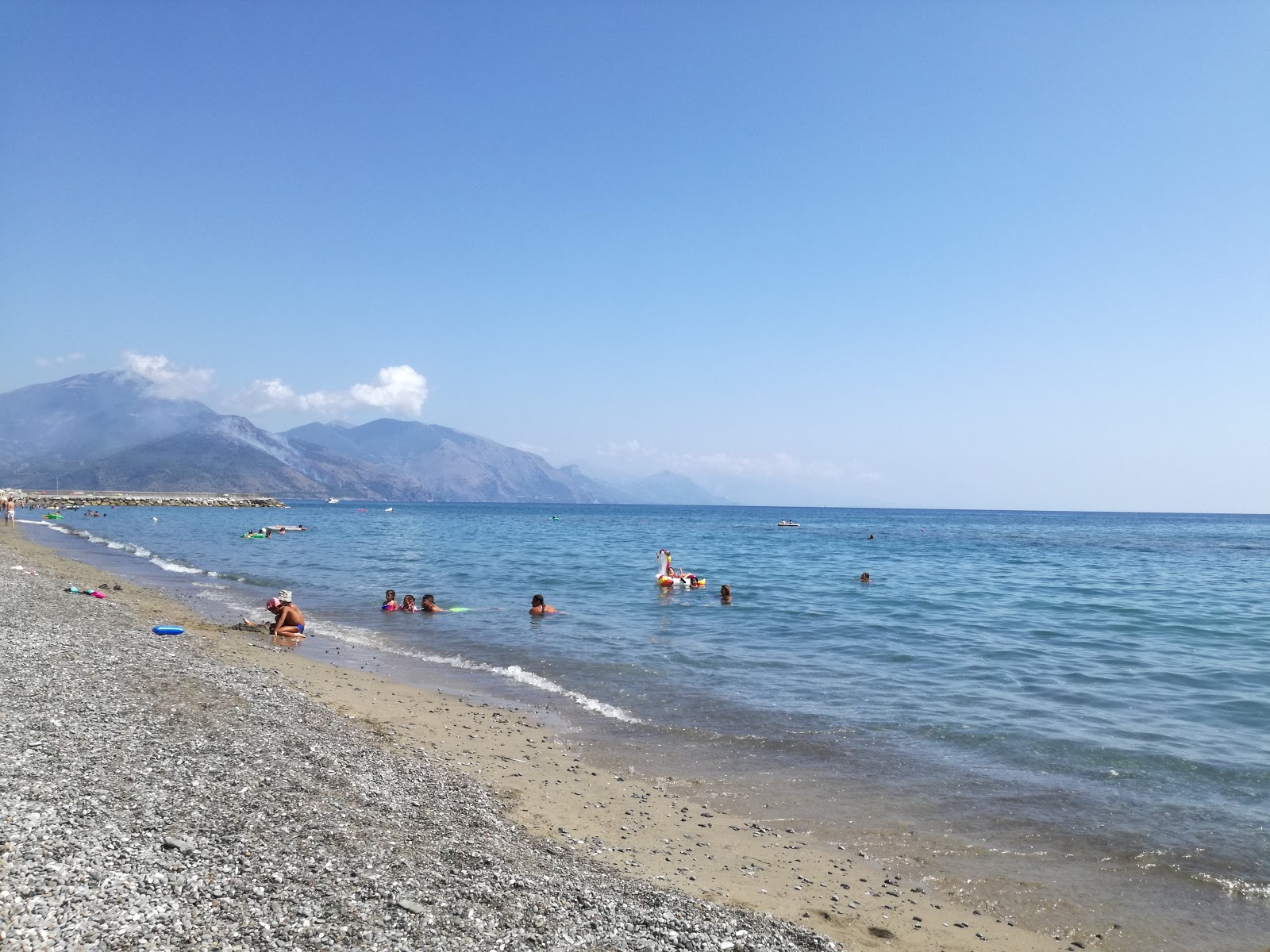 Photo de Palm beach avec un rivage spacieux