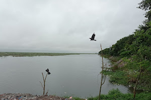 Alupotti Padma River Bank image