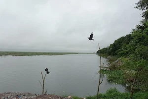 Alupotti Padma River Bank image