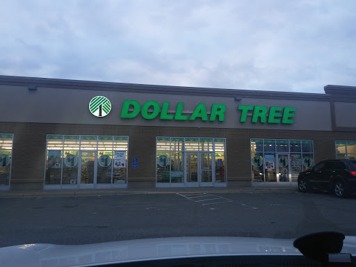 Dollar Store «Dollar Tree», reviews and photos, 11019 61st St NE #200, Albertville, MN 55301, USA