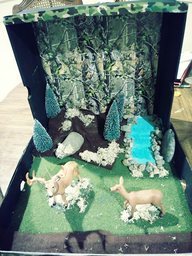 Craft Store «Hobby Lobby», reviews and photos, 5849 Lone Tree Way, Antioch, CA 94531, USA