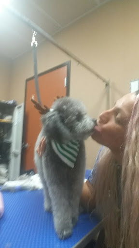 Pet Store «Pet Valu», reviews and photos, 2645 Shillington Rd, Sinking Spring, PA 19608, USA