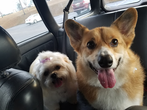 Pet Supply Store «For Pets Sake», reviews and photos, 2576 Montgomery Hwy # 6, Dothan, AL 36303, USA