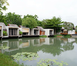 Into The Forest Resort photo