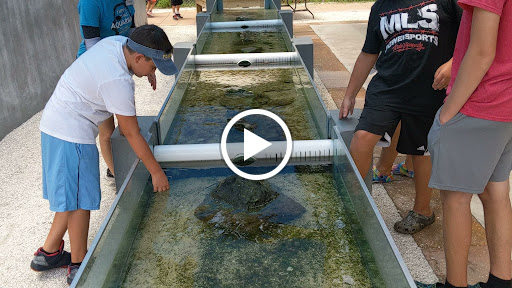 Aquarium «Aquarium Tarpon Springs», reviews and photos, 850 Dodecanese Blvd, Tarpon Springs, FL 34689, USA