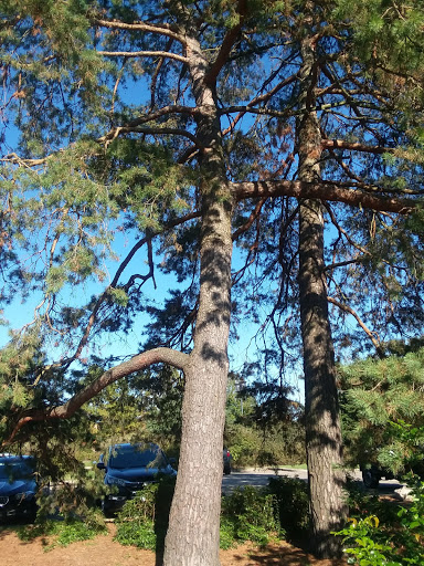 Park «Glenwood Gardens», reviews and photos, 10397 Springfield Pike, Cincinnati, OH 45215, USA