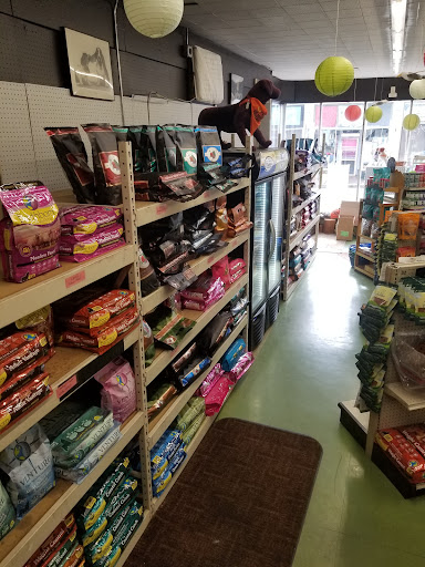 Pet Supply Store «Animal Krackers Inc», reviews and photos, 232 Main St, Gloucester, MA 01930, USA
