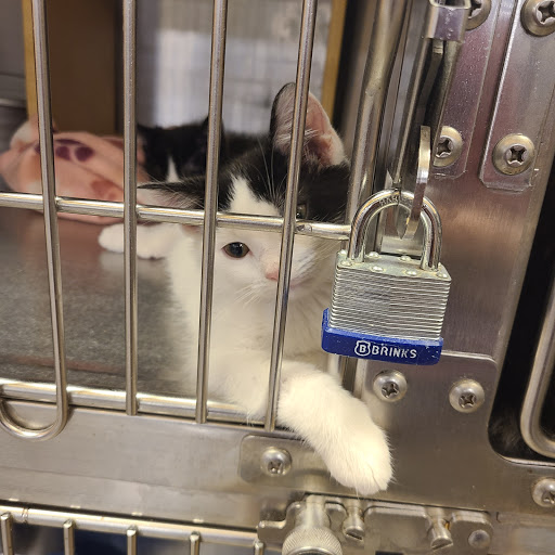 Pet Supply Store «PetSmart», reviews and photos, 1945 Pavilion Way, Lexington, KY 40509, USA