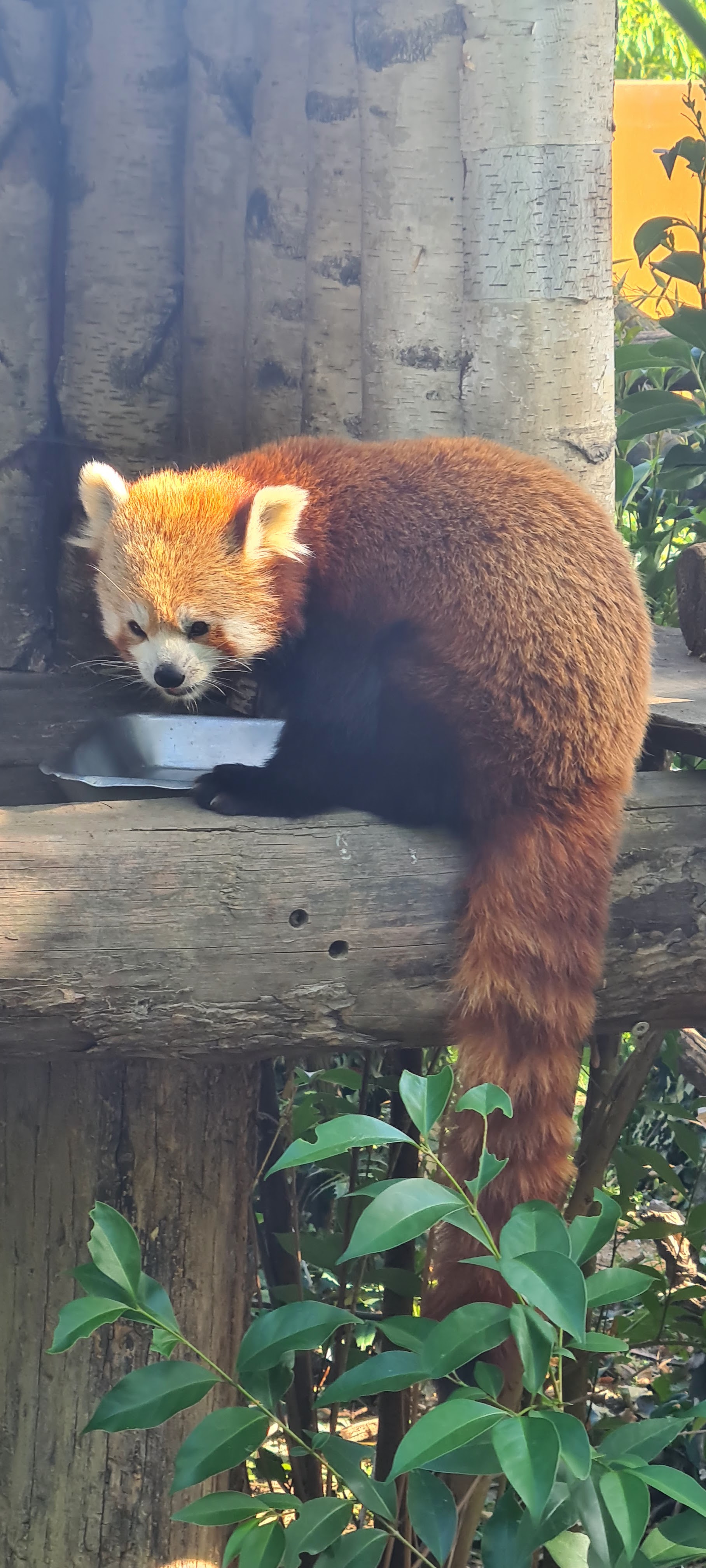 Photo n° 19 de l'avis de Jacky.r fait le 18/09/2022 à 05:13