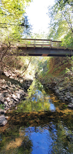 Non-Profit Organization «Houston Audubon Society», reviews and photos, 440 Wilchester Blvd, Houston, TX 77079, USA