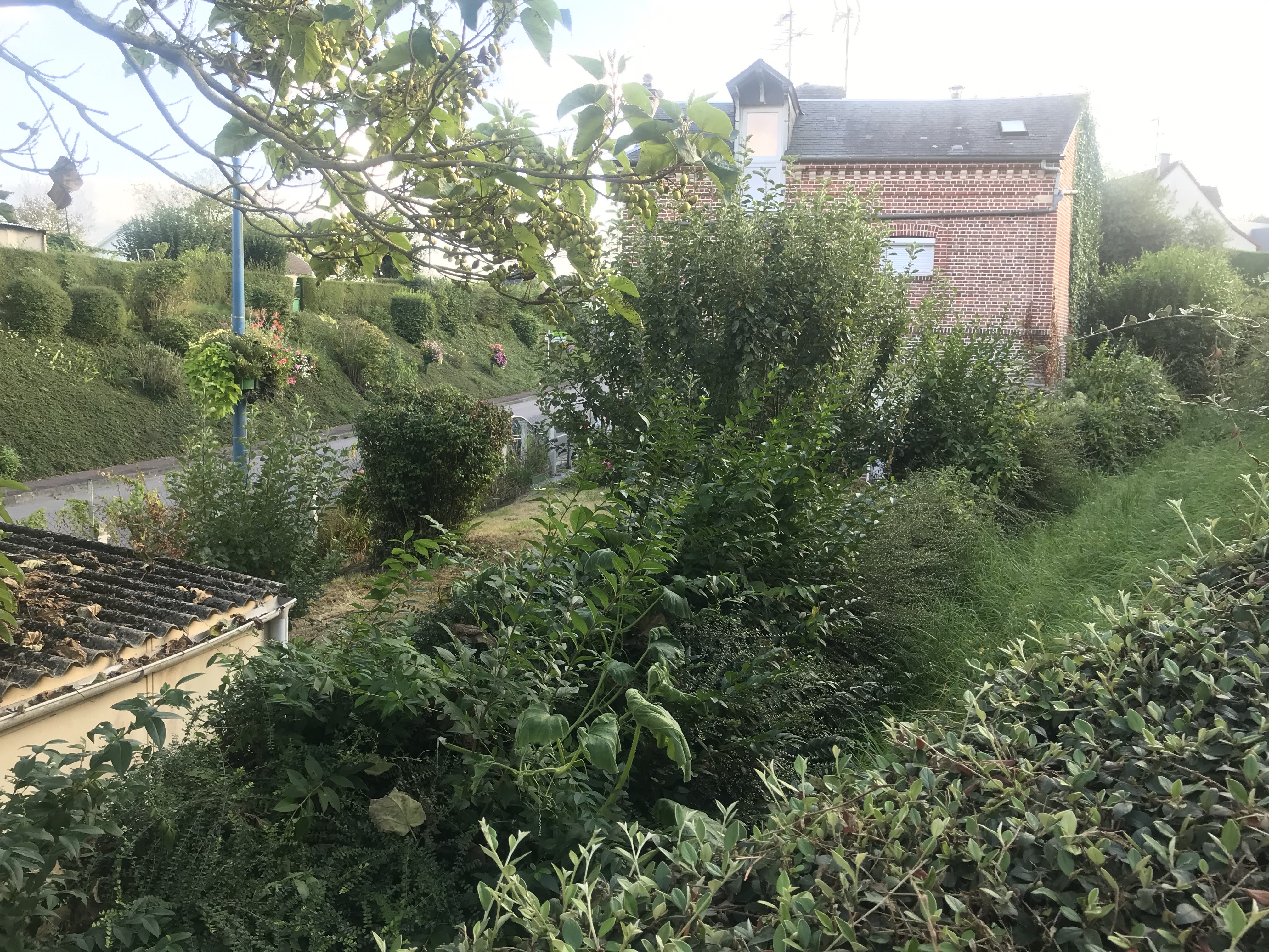 Photo n° 5 de l'avis de Jonathan.u fait le 22/10/2021 à 17:04