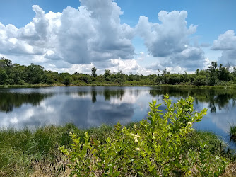 Bell Creek Nature Preserve