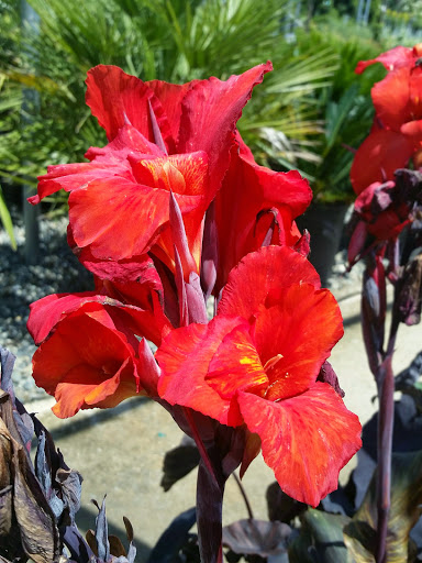 Building Materials Store «Silverado Building Materials», reviews and photos, 9297 Jackson Rd, Sacramento, CA 95826, USA