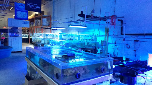 Tropical Fish Store «The Fish Store», reviews and photos, 2050 Chamblee Tucker Rd, Chamblee, GA 30341, USA