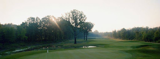 Golf Course «Pheasant Run Golf Club», reviews and photos, 46500 Summit Pkwy, Canton, MI 48188, USA
