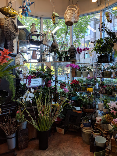 Florist «The Flower Lady», reviews and photos, 3230 Eastlake Ave C, Seattle, WA 98102, USA