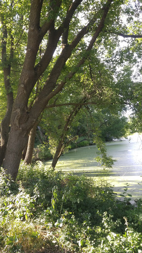 Nature Preserve «Southwood Nature Preserve», reviews and photos, 2651 Holloway Ave E, North St Paul, MN 55109, USA