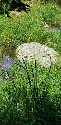 Nature Preserve «Norman Bird Sanctuary», reviews and photos, 583 3rd Beach Rd, Middletown, RI 02842, USA