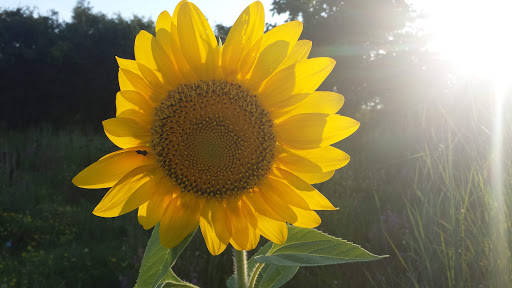 State Park «Squantum Point Park», reviews and photos, Miwra Haul Rd, Quincy, MA 02171, USA