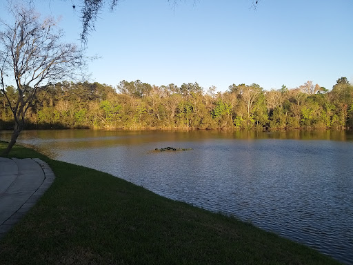 Theme Park «Velocity Air Sports», reviews and photos, 7022 A C Skinner Pkwy #200, Jacksonville, FL 32256, USA