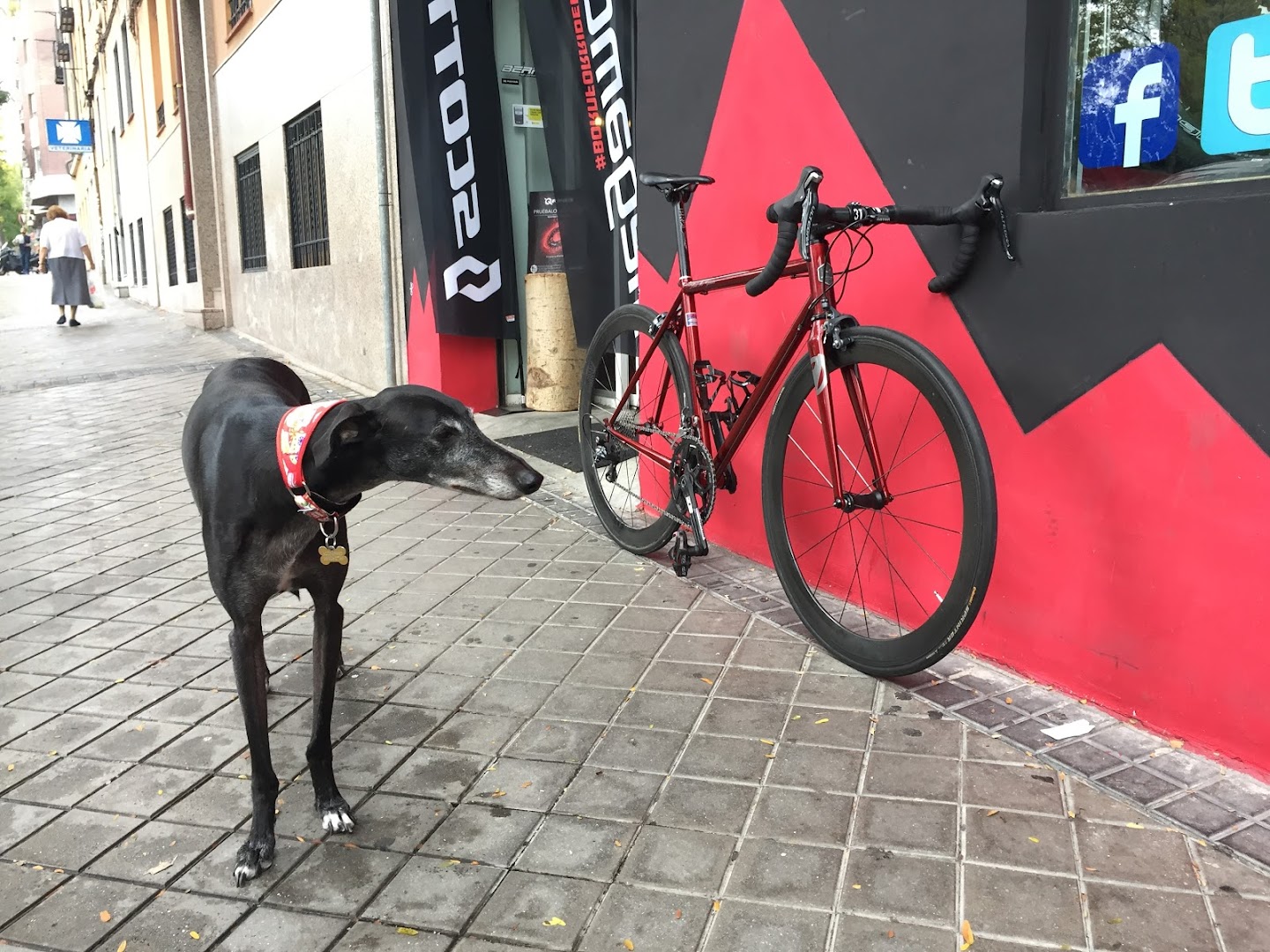 Fit Bike Madrid - Tienda, Taller, Club Ciclista y más!
