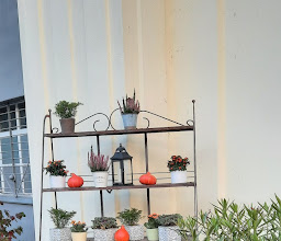 Straßenbahndepot Heiligensee photo