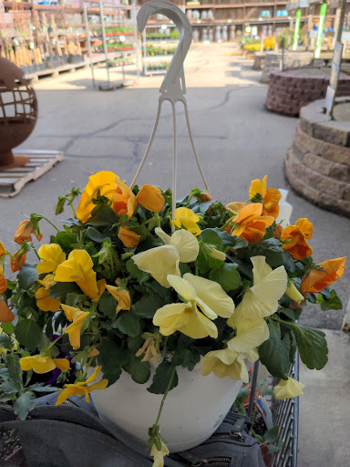 Home Improvement Store «Menards», reviews and photos, 3800 National Rd E, Richmond, IN 47374, USA