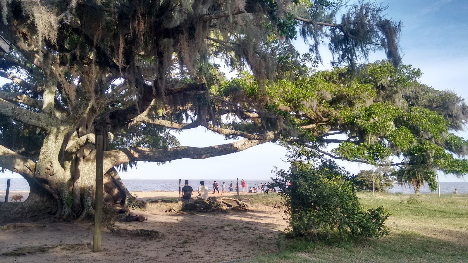 Foto di Praia do Pinvest - luogo popolare tra gli intenditori del relax