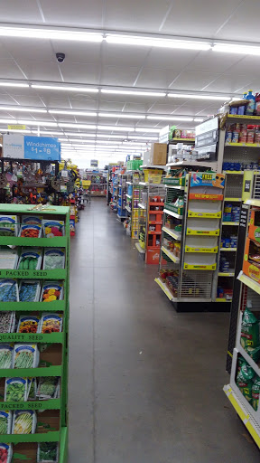 Discount Store «Dollar General», reviews and photos, 208 NE Big Bend Trail, Glen Rose, TX 76043, USA