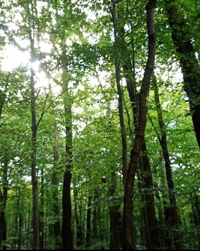 Értékelések erről a helyről: Sikondai Pihenőpark, Komló - Parkoló