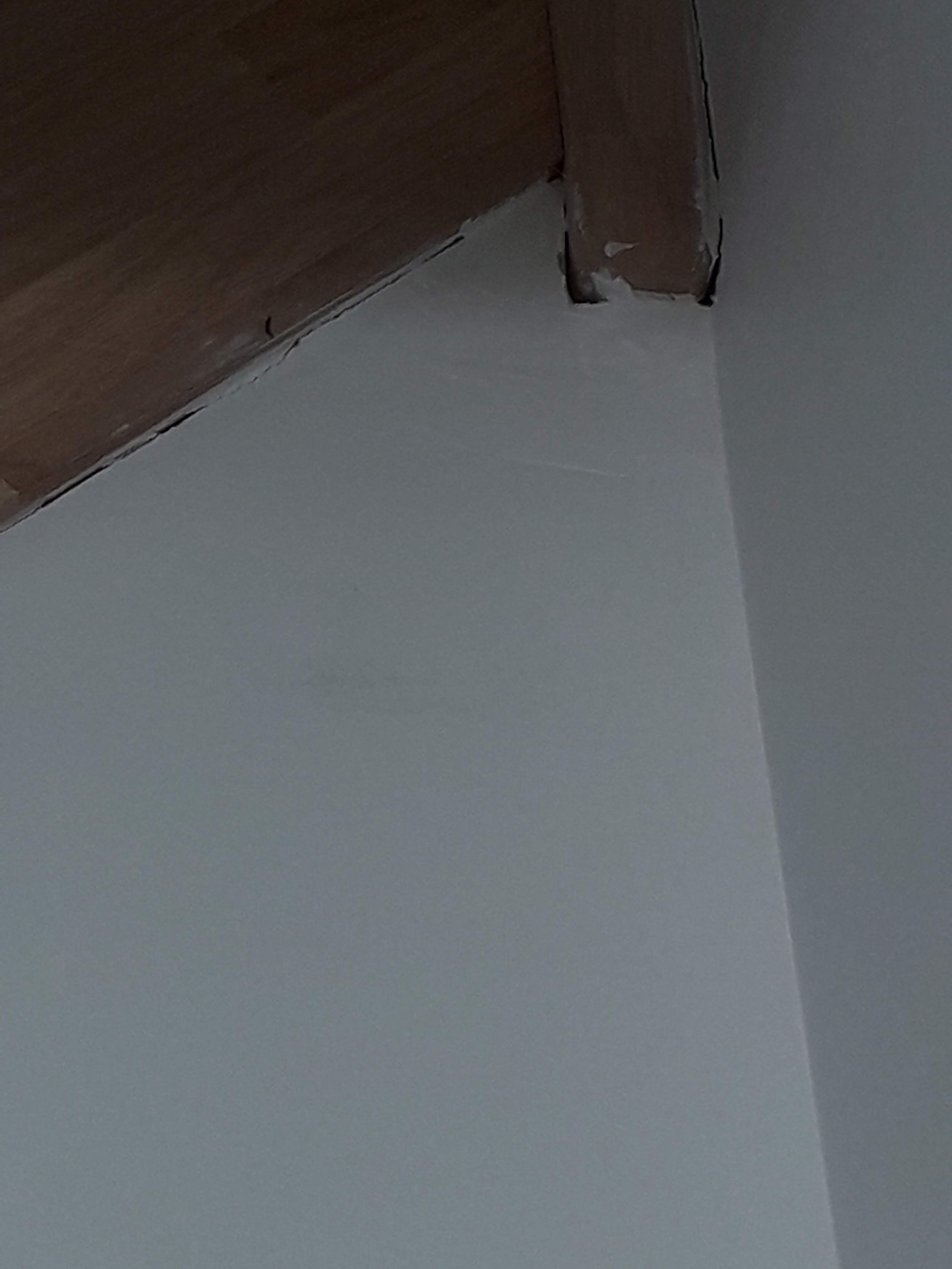 Photo n° 3 de l'avis de Christelle.o fait le 15/04/2019 à 21:14