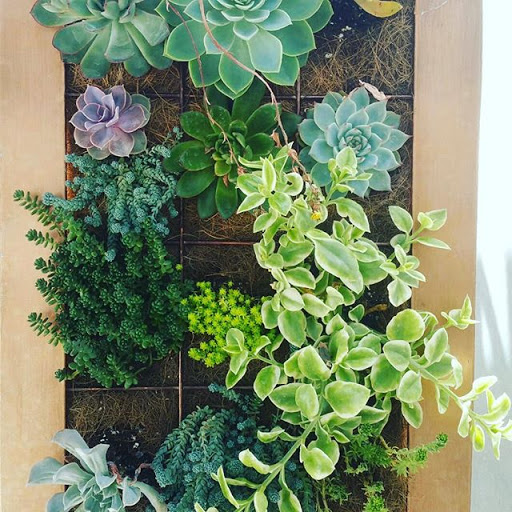 Florist «Concepts In Bloom», reviews and photos, 378 SE Port St Lucie Blvd #1004, Port St Lucie, FL 34984, USA